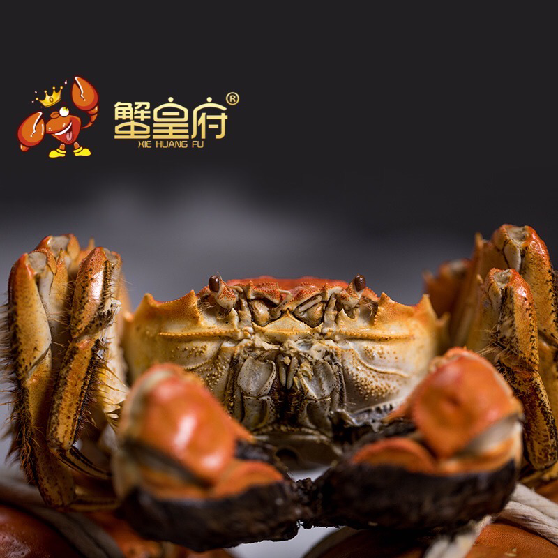 蟹皇府阳澄湖大闸蟹2888型 公蟹4.5-4.9两*5 母蟹3.0-3.4两*5